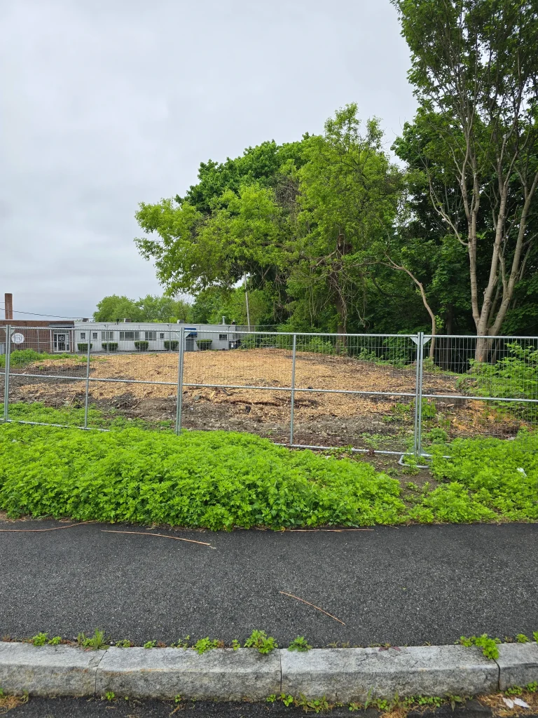 Cleared forestland by city to remove encampment.
